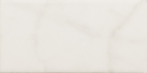 Плитка настенная CARRARA Carrara Matt (EQUIPE)